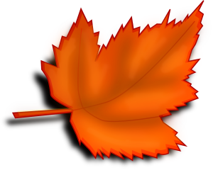 autumn image
