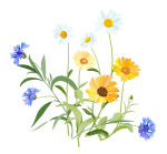flower image